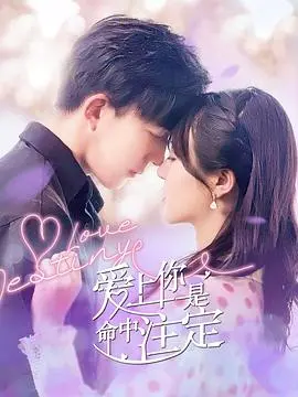 命中注定的爱情：《爱上你是命中注定》的浪漫邂逅